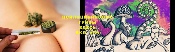 MESCALINE Аркадак