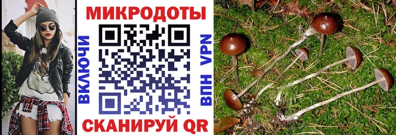 Псилоцибиновые грибы прущие грибы  Сысерть 